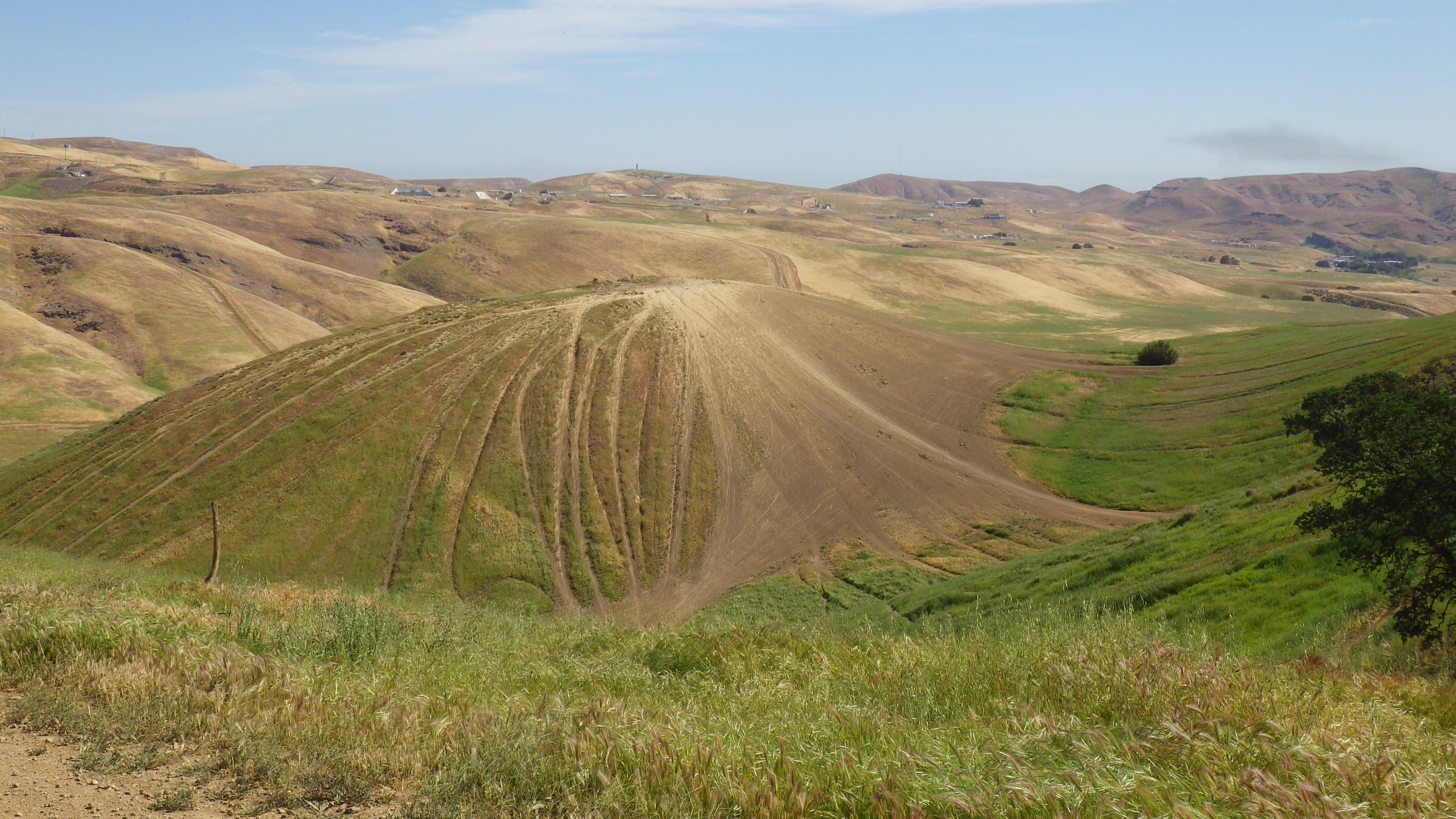 Harrison Hill with hill climb scarring